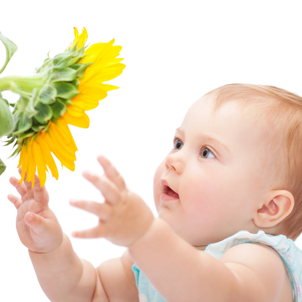 Маленькая милая девочка с подсолнухом на белом фоне