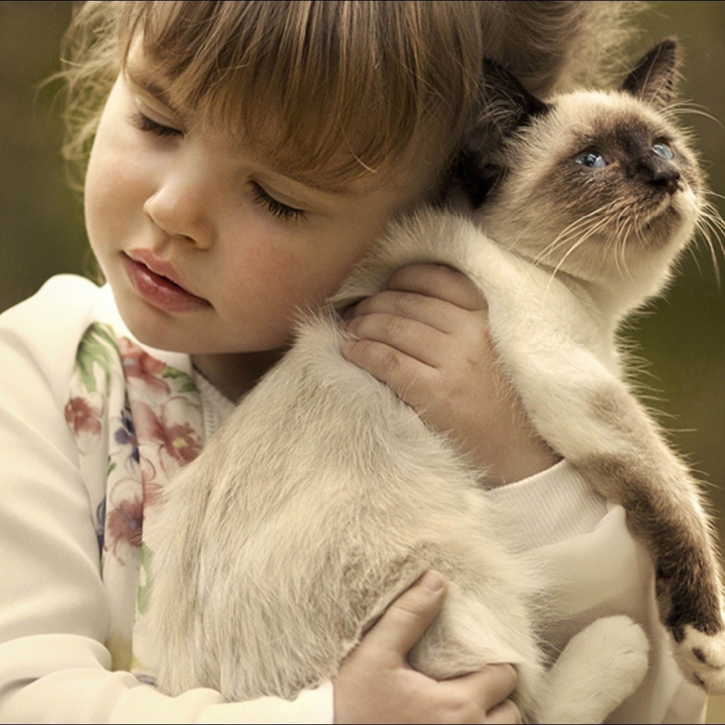 Маленькая девочка обнимает котенка 