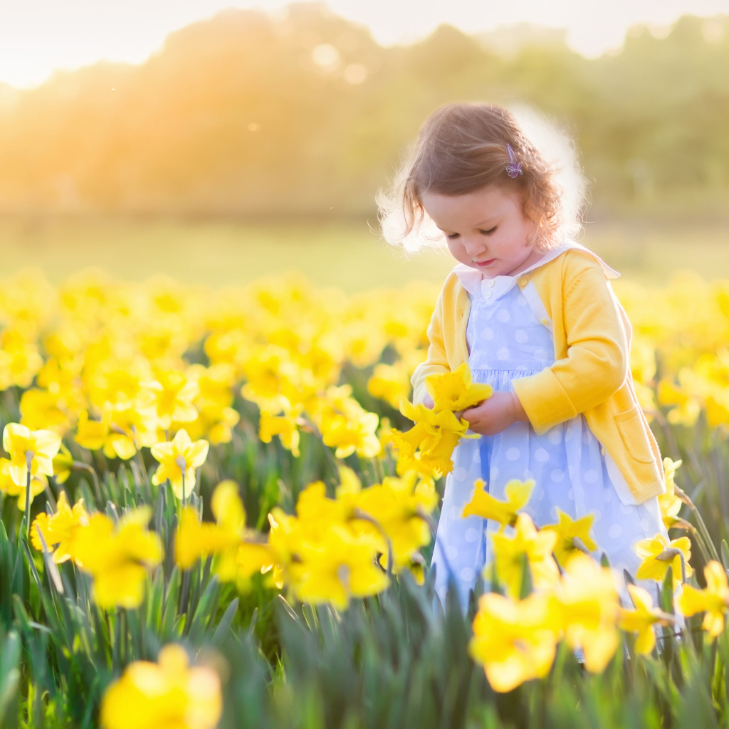 Маленькая девочка в поле желтых нарциссов 