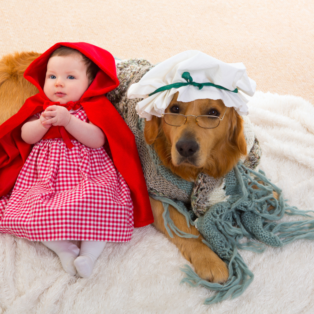 Маленькая девочка в костюме красной шапочки с большой собакой