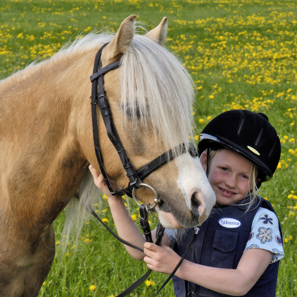 Маленькая девочка в шлеме с лошадью