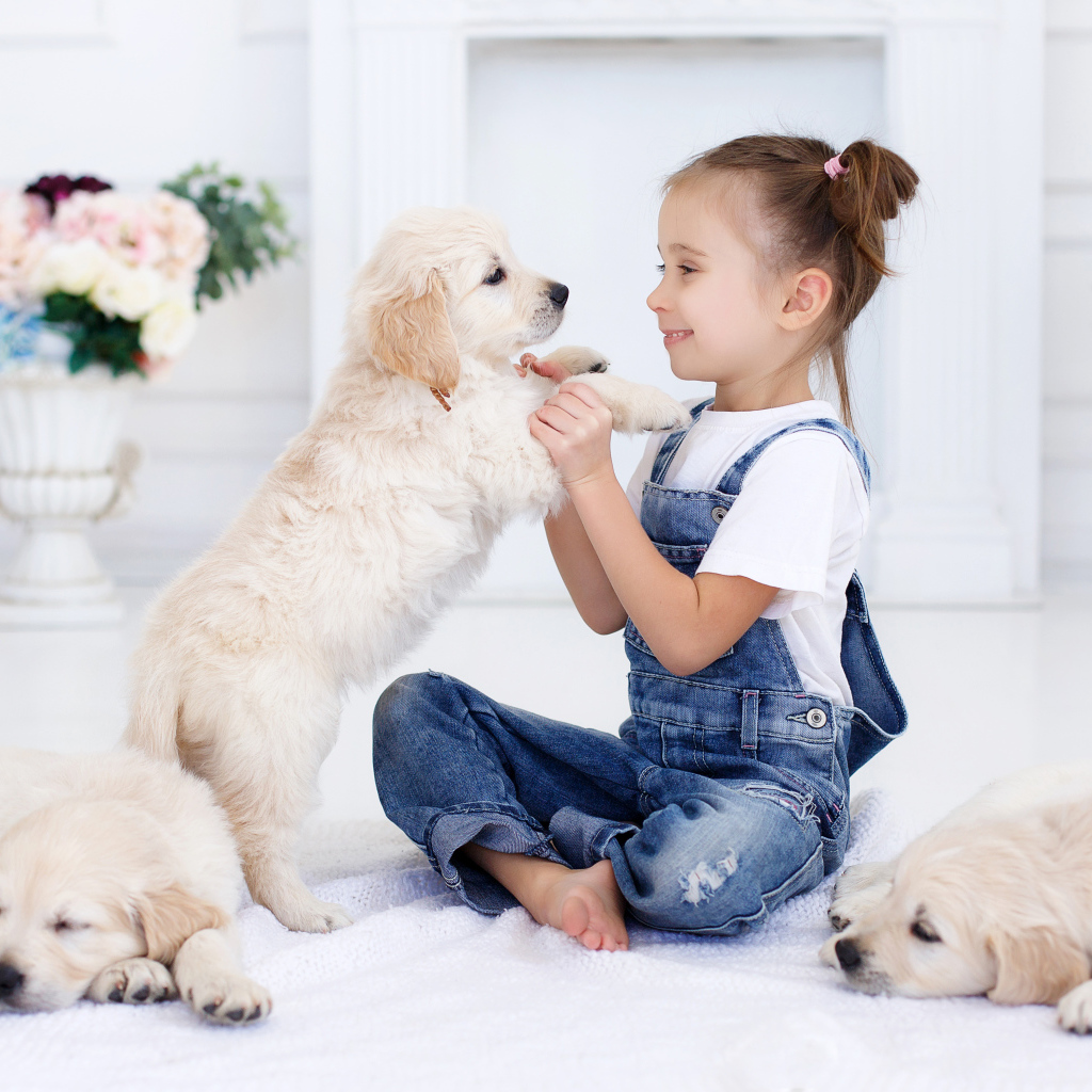 Маленькая девочка играет со щенками золотистого ретривера