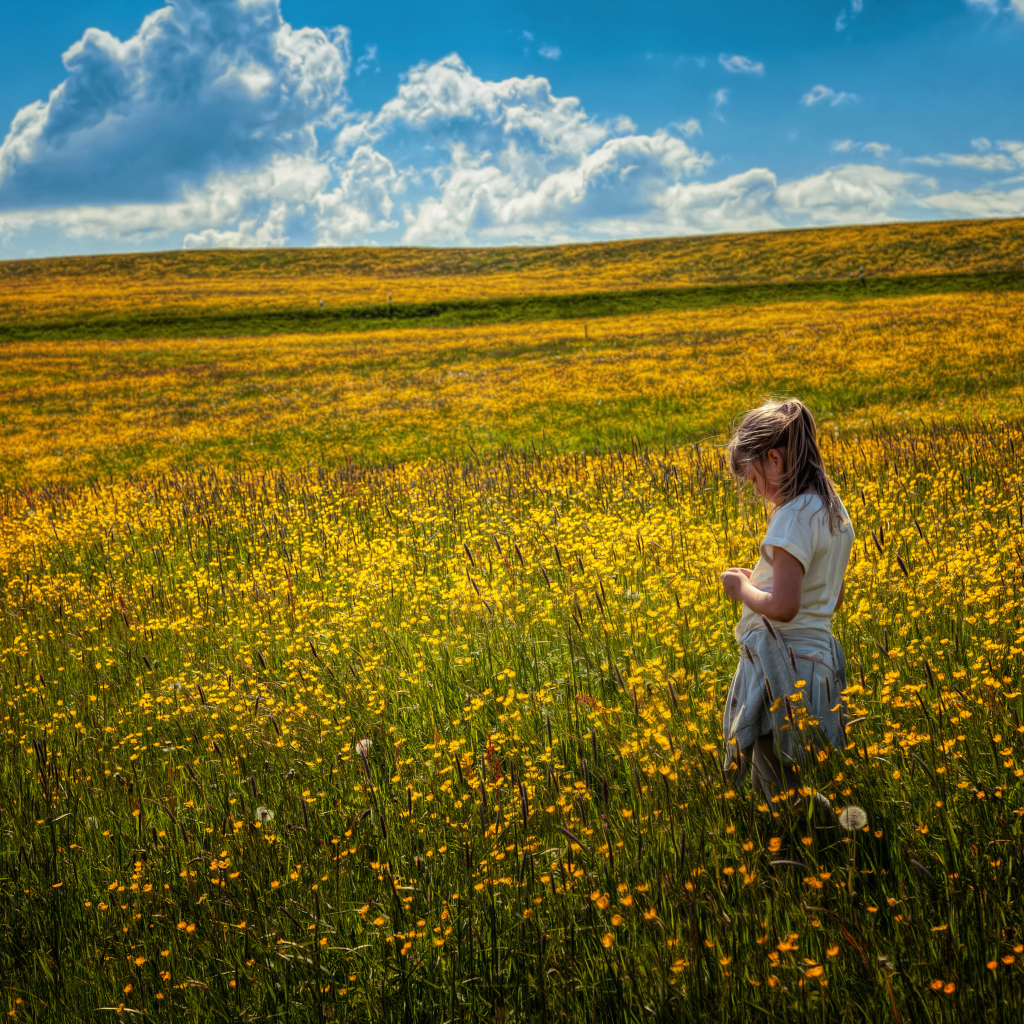 Маленькая девочка гуляет по полю с желтыми цветами