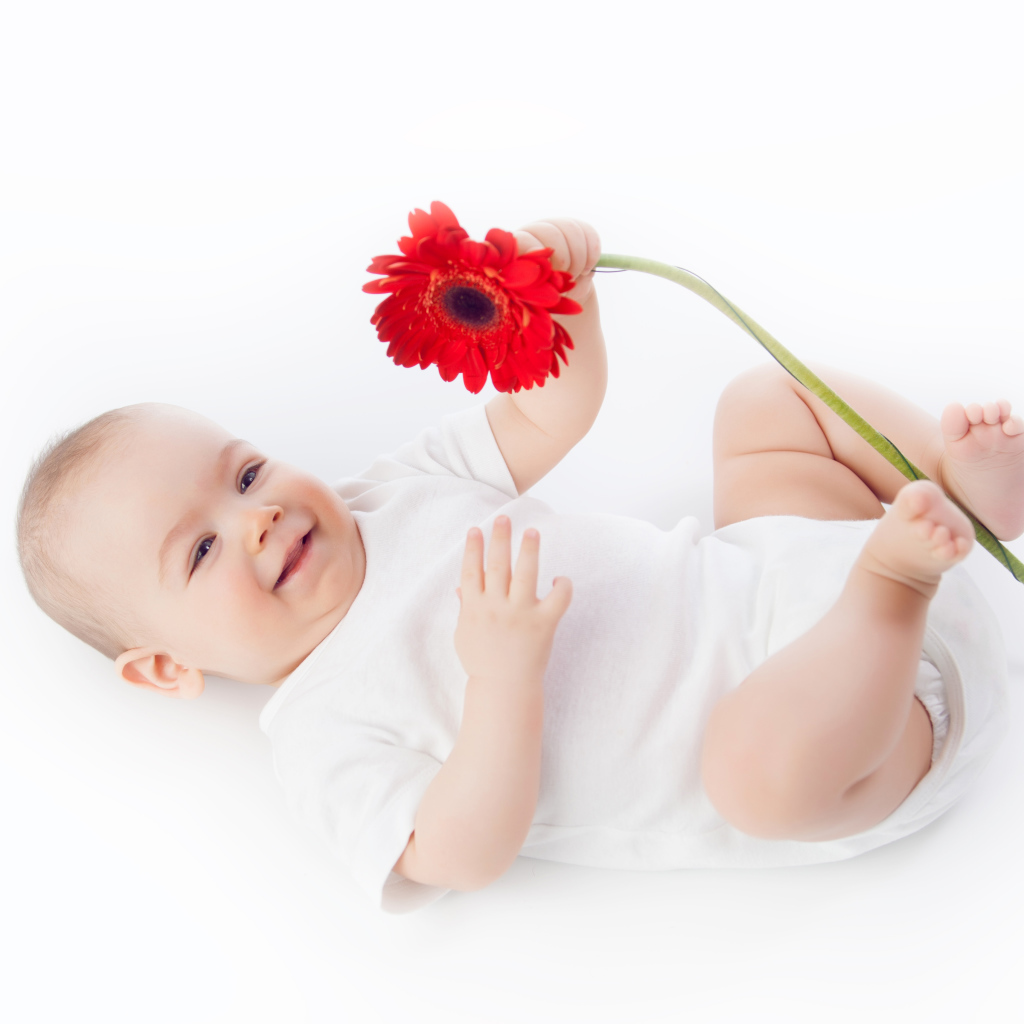 Улыбающийся младенец с цветком красной герберы на белом фоне