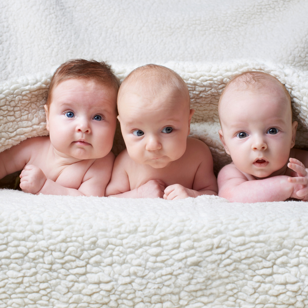 Три младенца лежат под одеялом