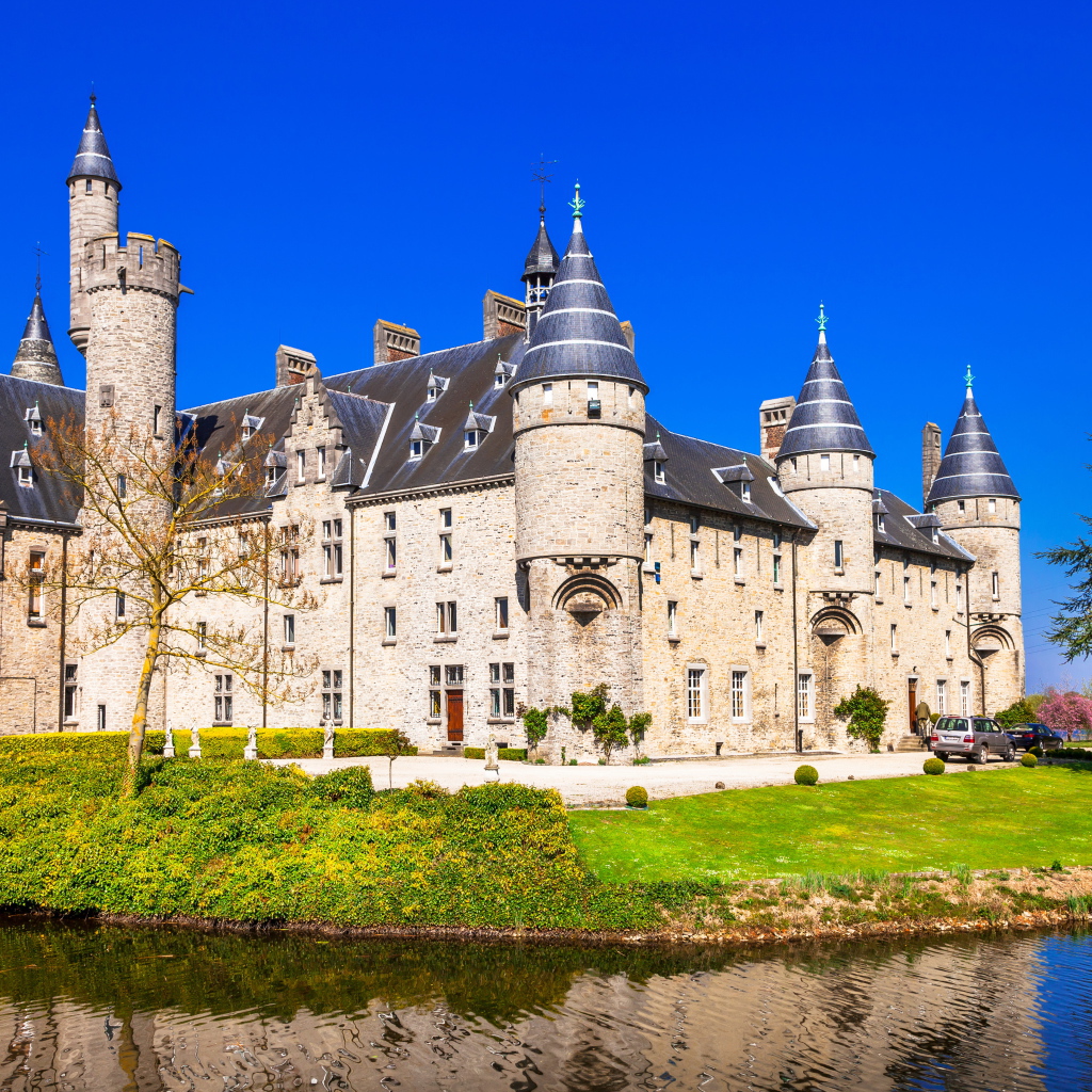 Замок в Борне у пруда, Бельгия 