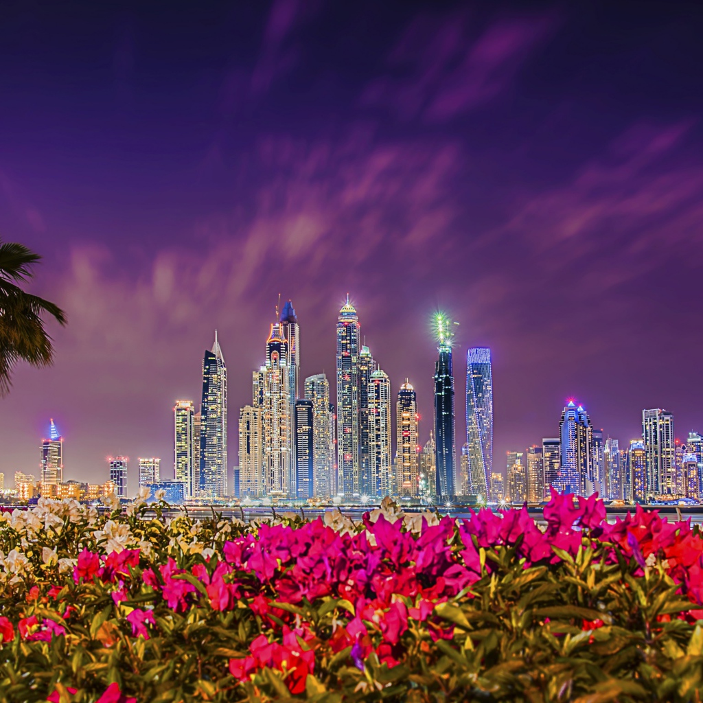 Вид на ночные небоскребы Дубая 