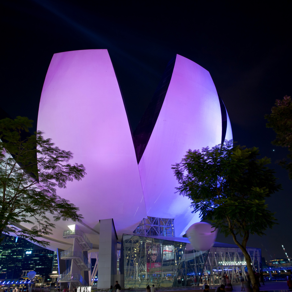 Необычное фиолетовое здание ночью, Сингапур 