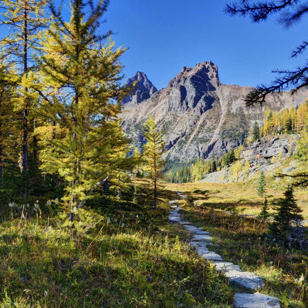 Пейзаж в живописном национальном парке Йохо, Канада 