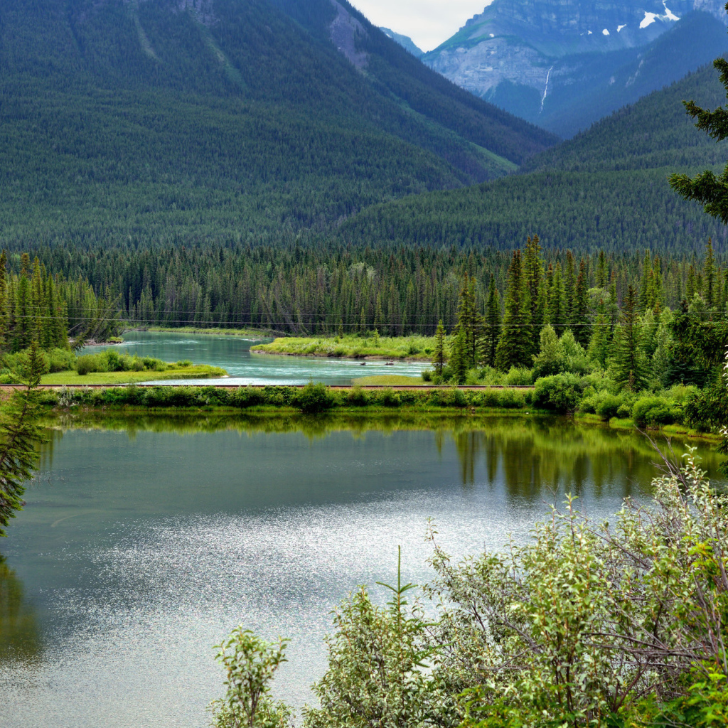 Живописный национальный парк Вуд-Баффало, Канада 