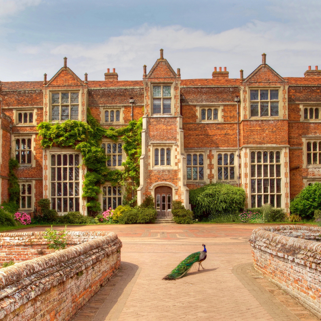 Павлин у дворца Кентуэлл Холл, Англия