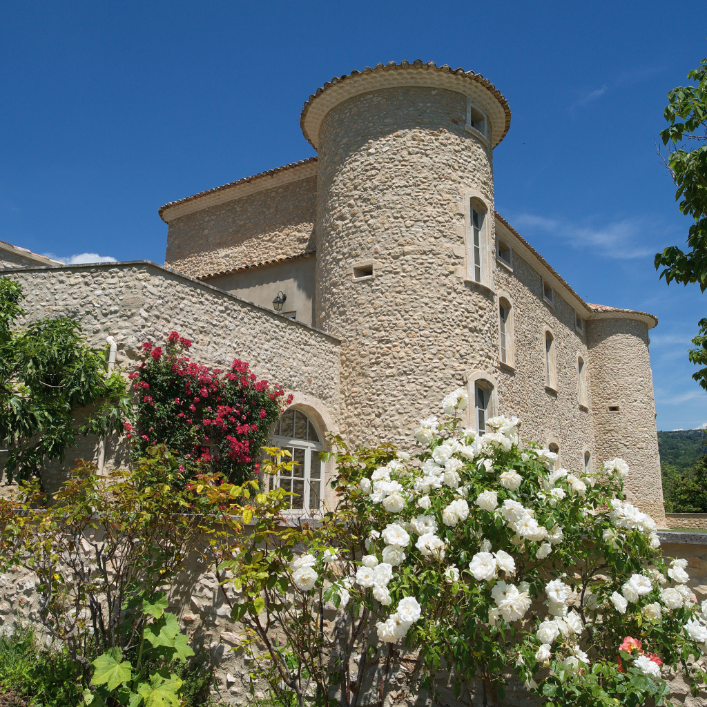 Цветущие кусты роз у стен  замка Murs. Франция