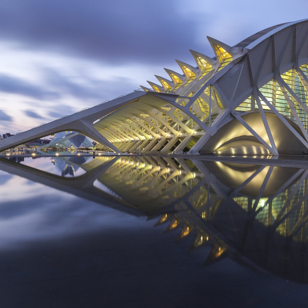 Музей наук принца Фелипе город Валенсия, Италия 