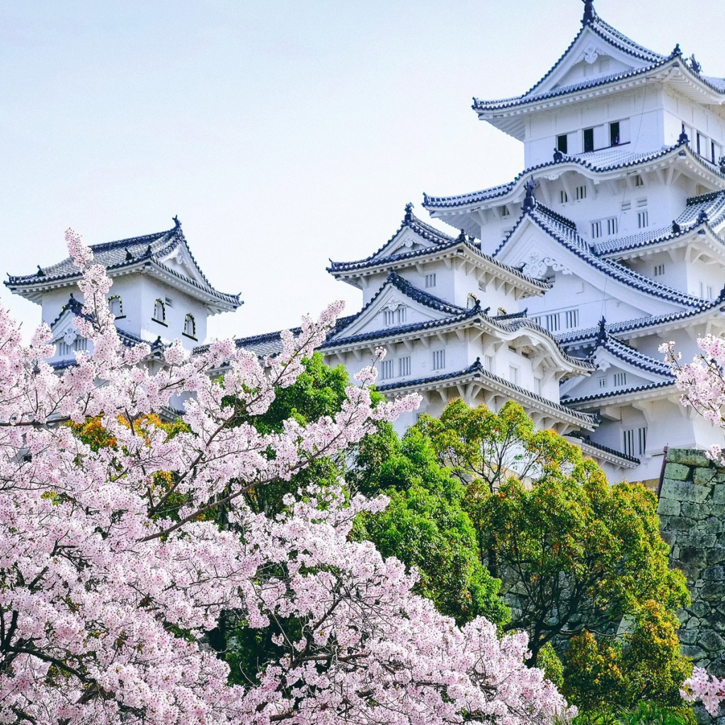 Ancient Himeji Castle gardens cherry blossoms, Japan
