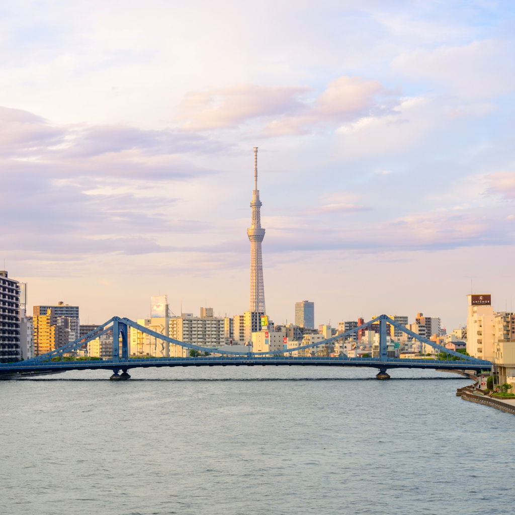 Панорама города Токио на фоне реки, Япония