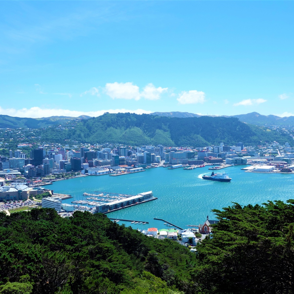 Панорама города Веллингтон, Новая Зеландия 