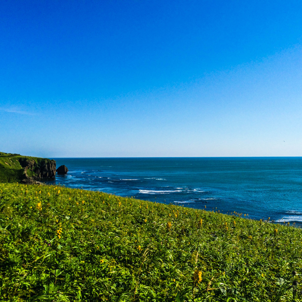 Вид на море хребет Жданко, Сахалин. Россия 