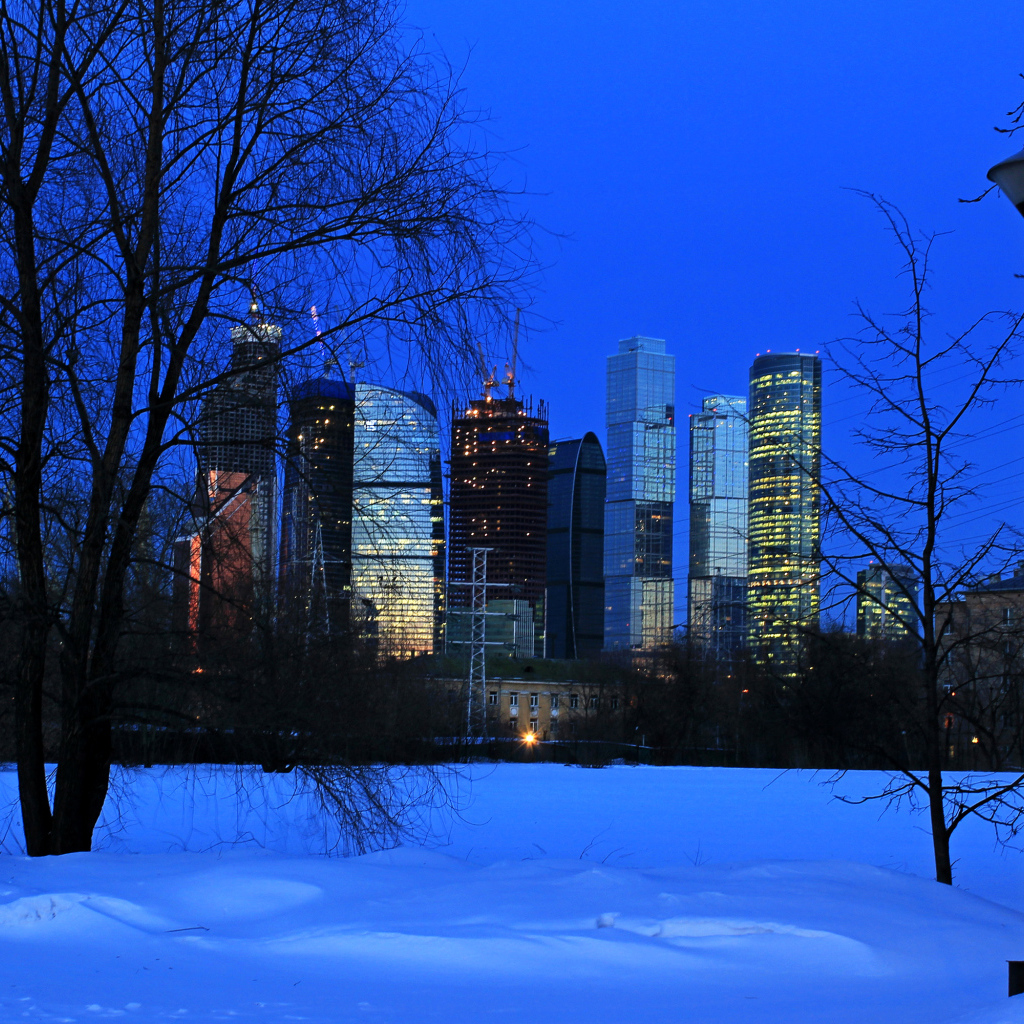 Вид на московские небоскребы из зимнего парка, Россия