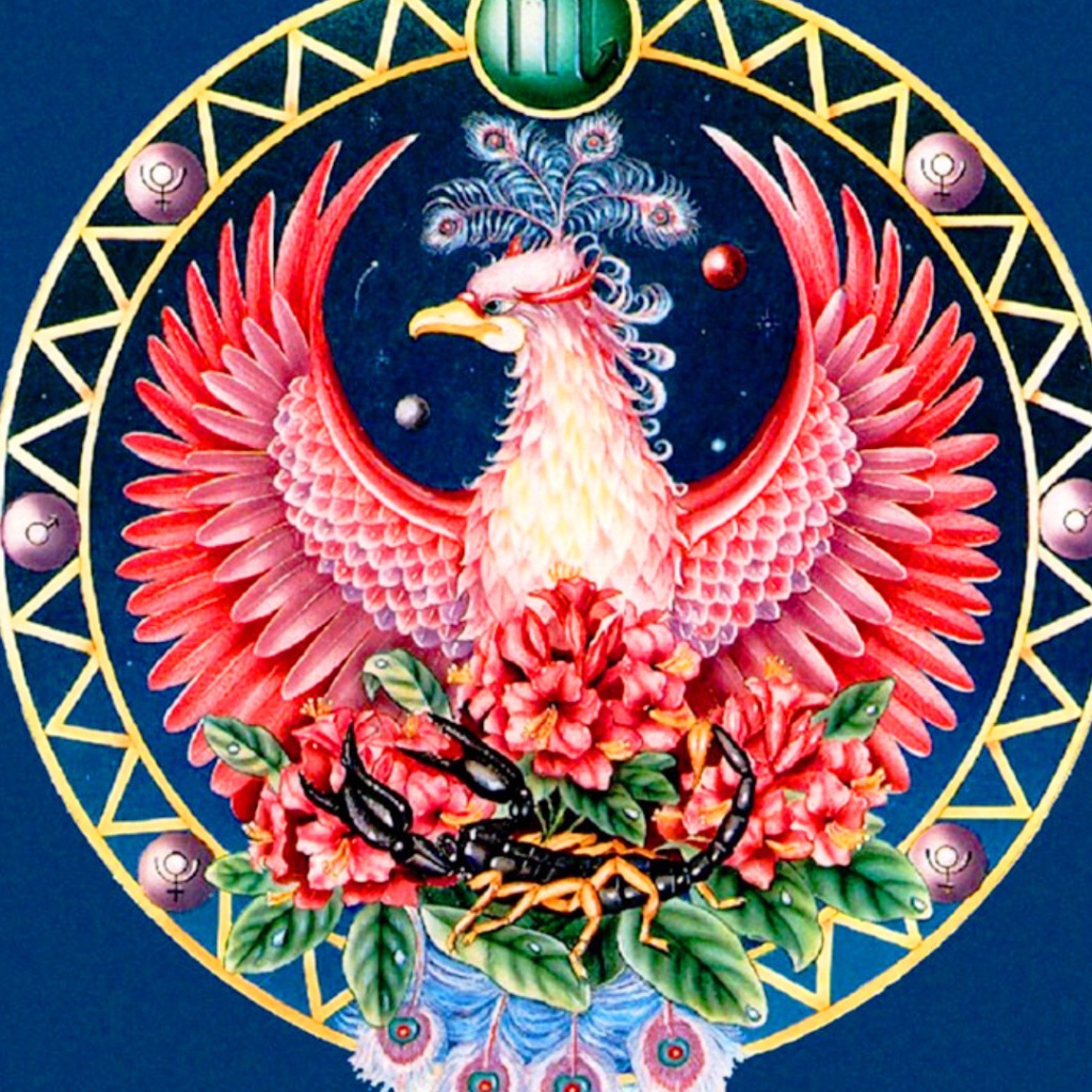 Знак зодиака Скорпион рисунок 