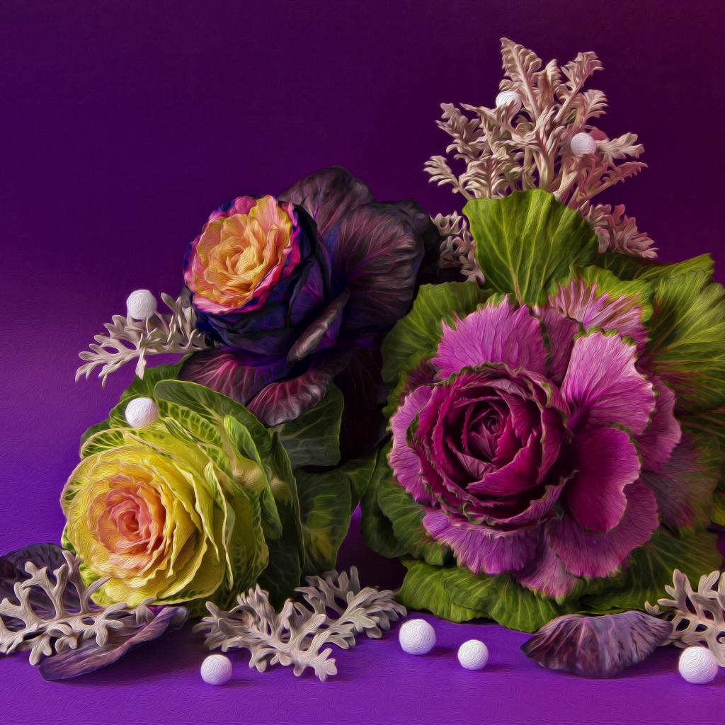 Цветы декоративной капусты на фиолетовом фоне, фрактальный рисунок