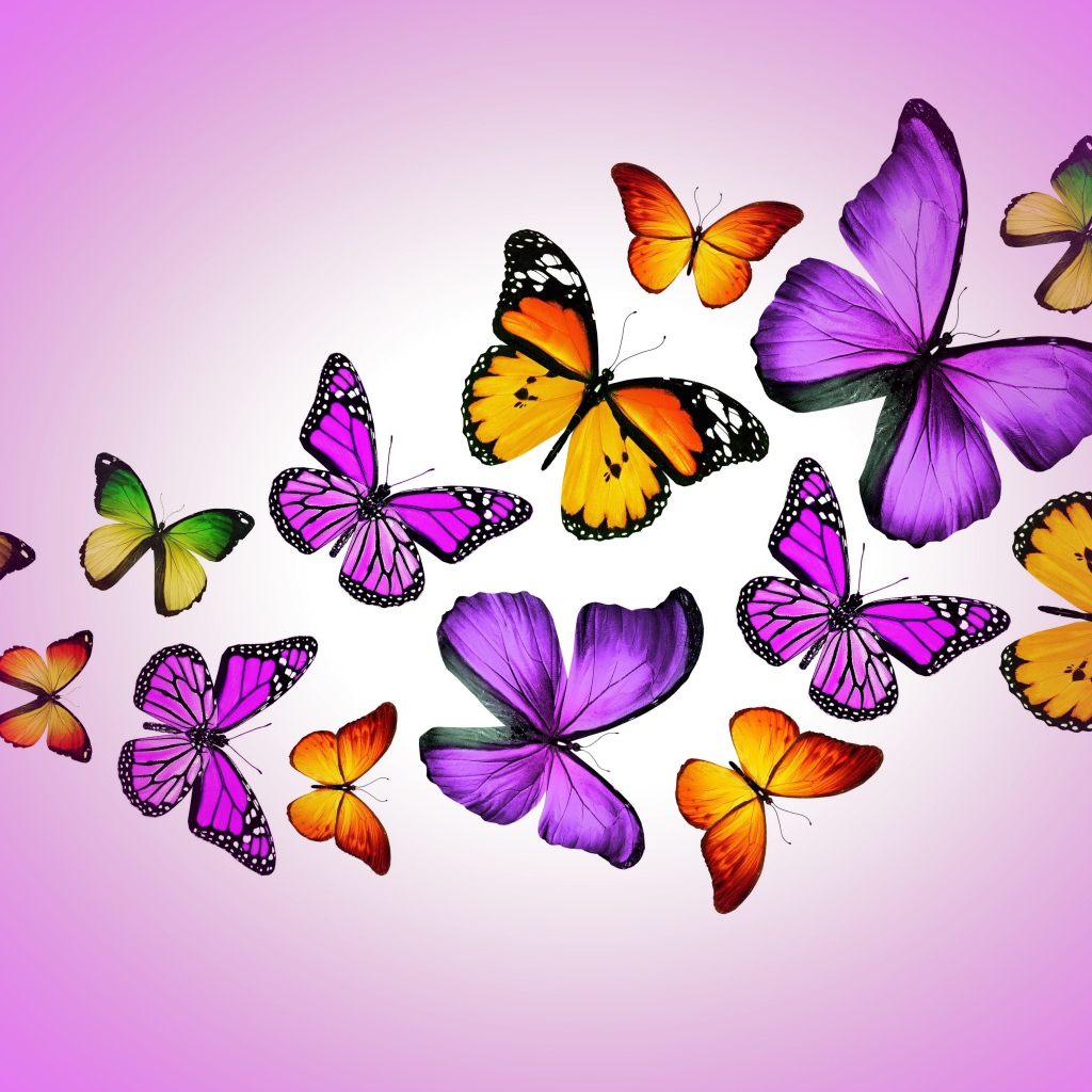 Много разноцветных бабочек на сиреневом фоне, 3д графика