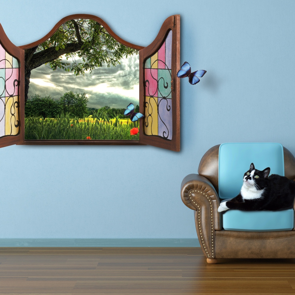 Черно белый кот лежит на кресле у окна