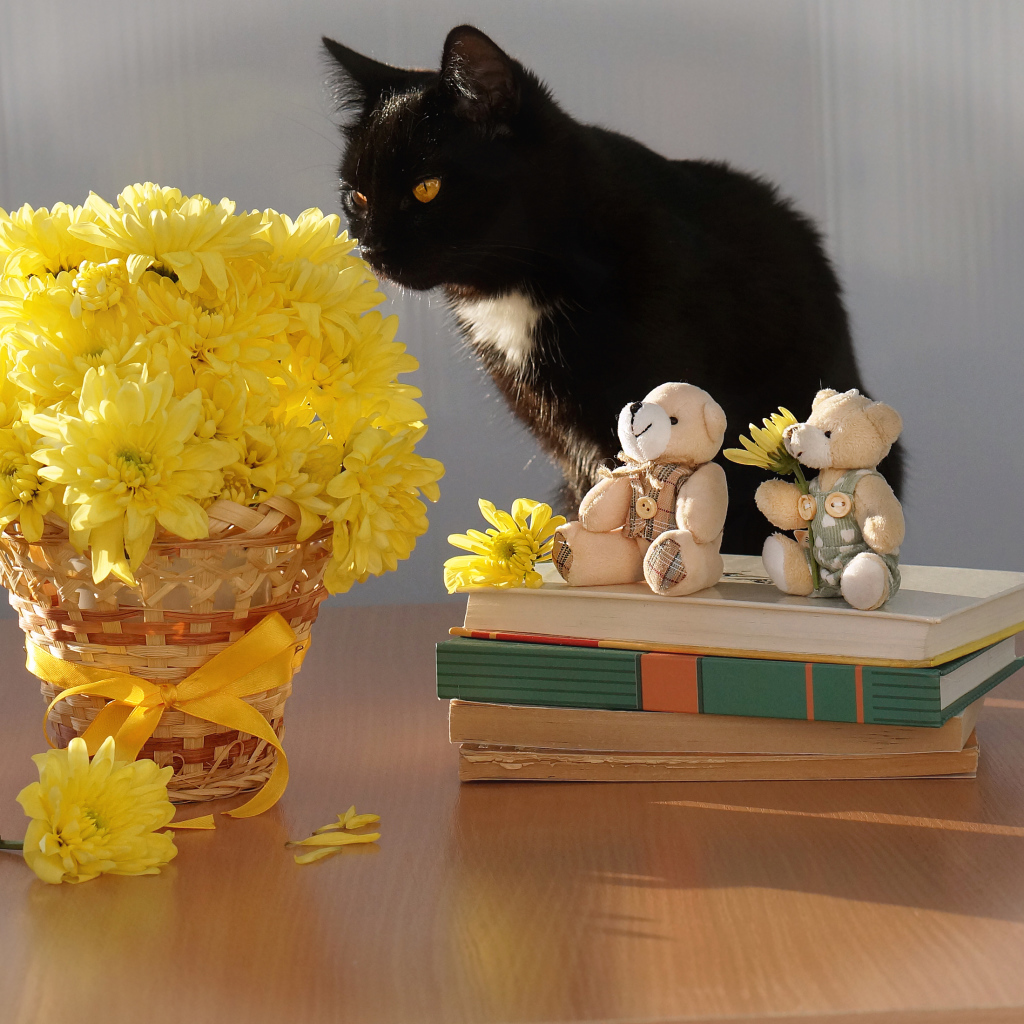 Черный кот на столе с букетом желтых хризантем и книгами
