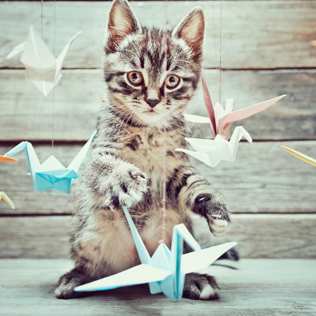 Маленький серый котенок с бумажными игрушками