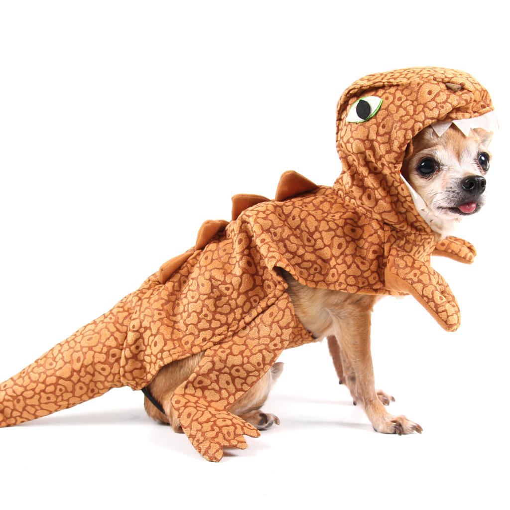 Забавный пес породы чихуахуа в костюме динозавра на белом фоне