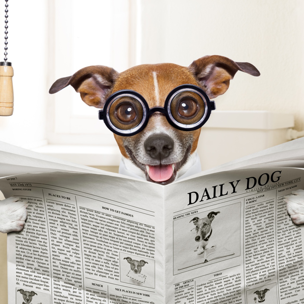 Смешная собака в очках читает газету