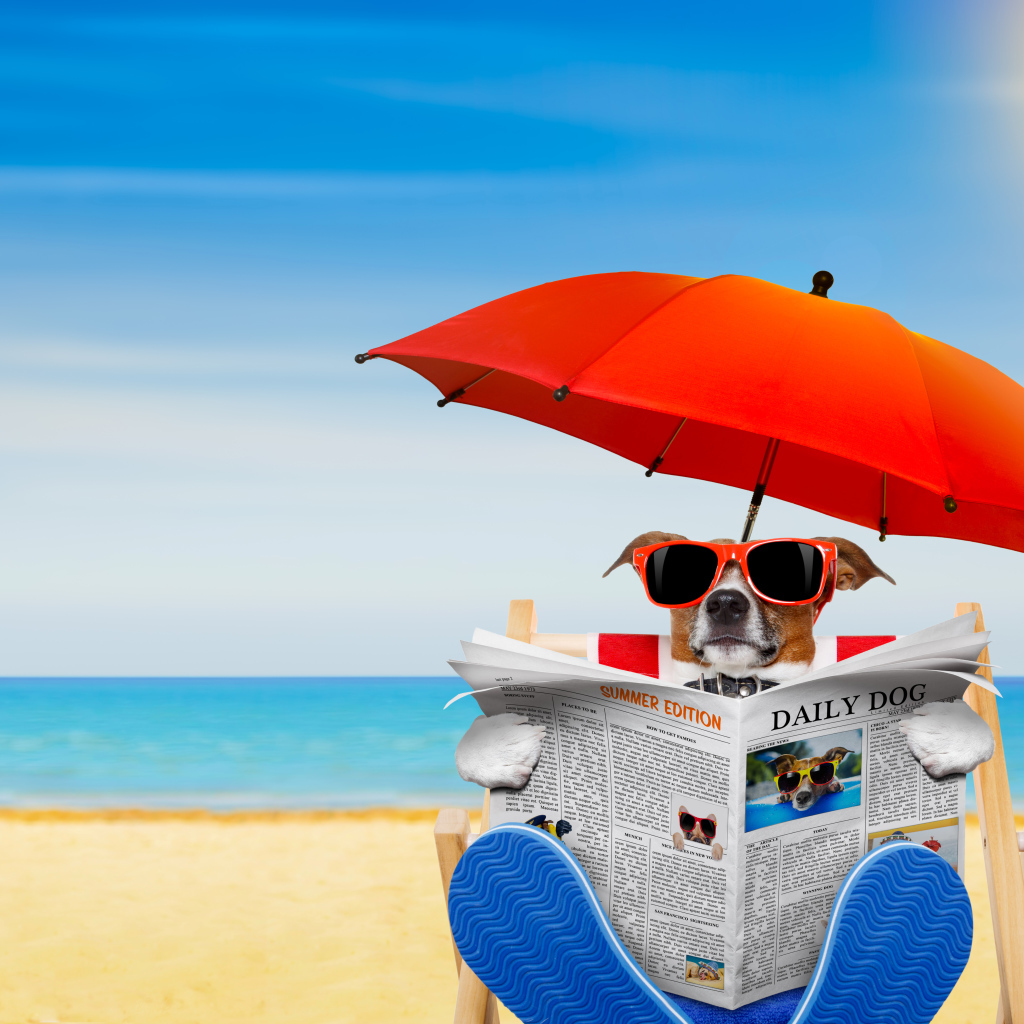 Jack Russell Terrier with glasses with a newspaper under an umbrella on the beach