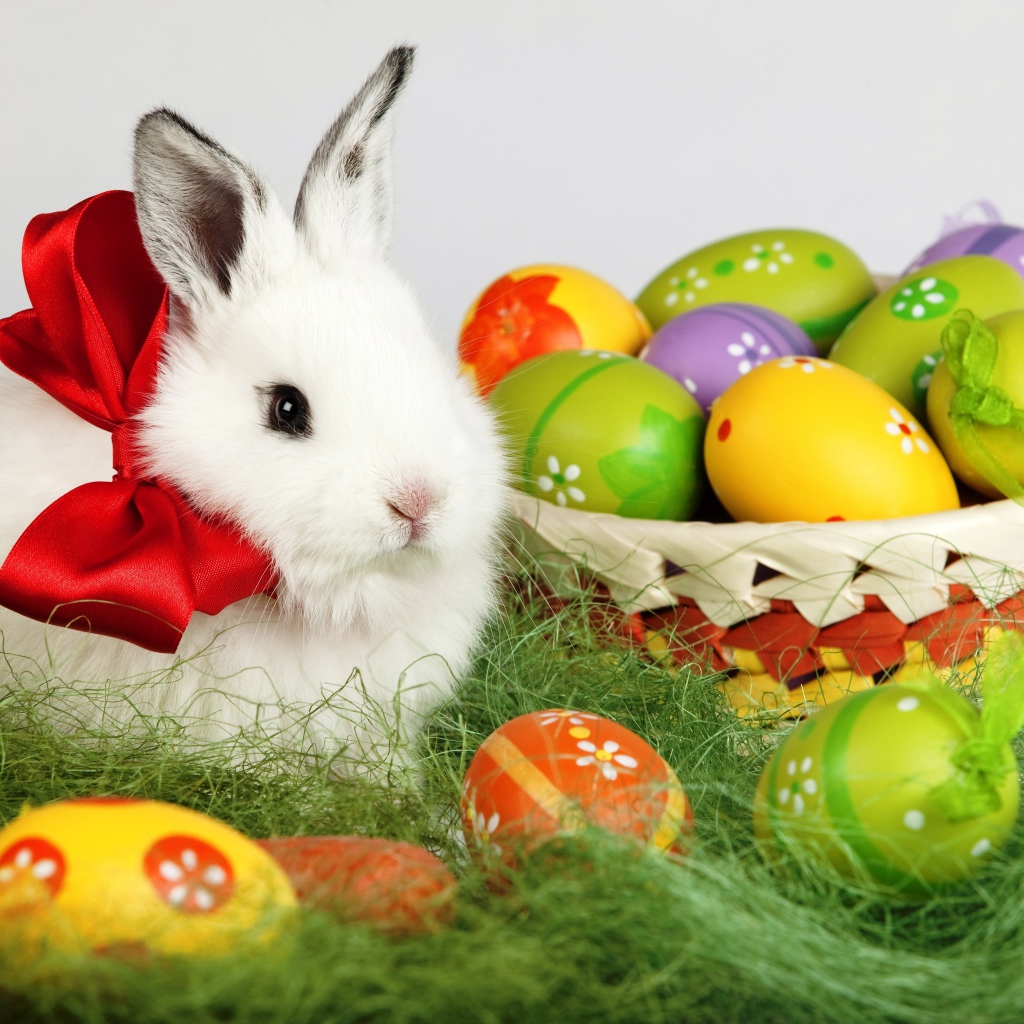 Пушистый белый декоративный кролик с корзиной пасхальных яиц