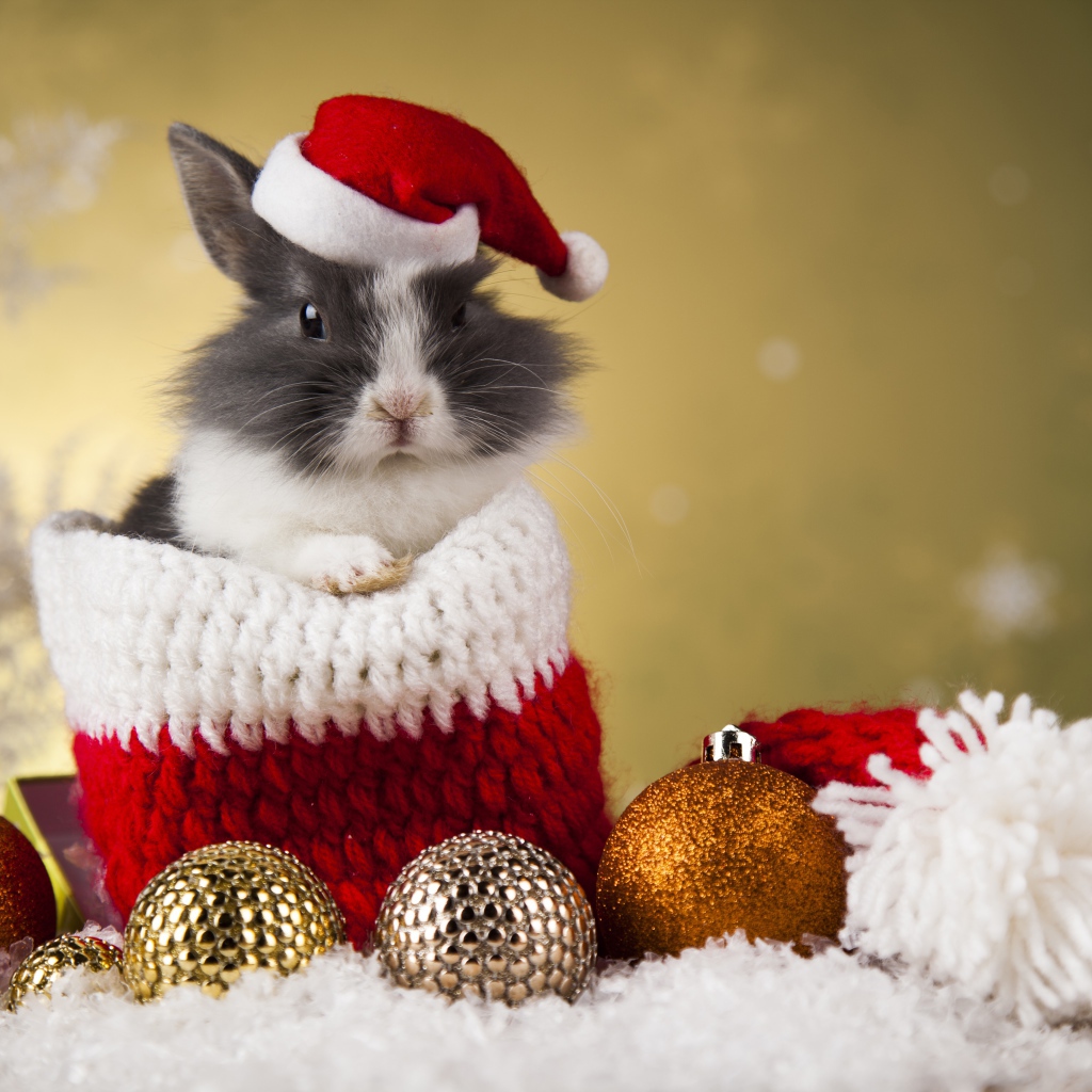 Кролик в новогодней шапке и елочными игрушками