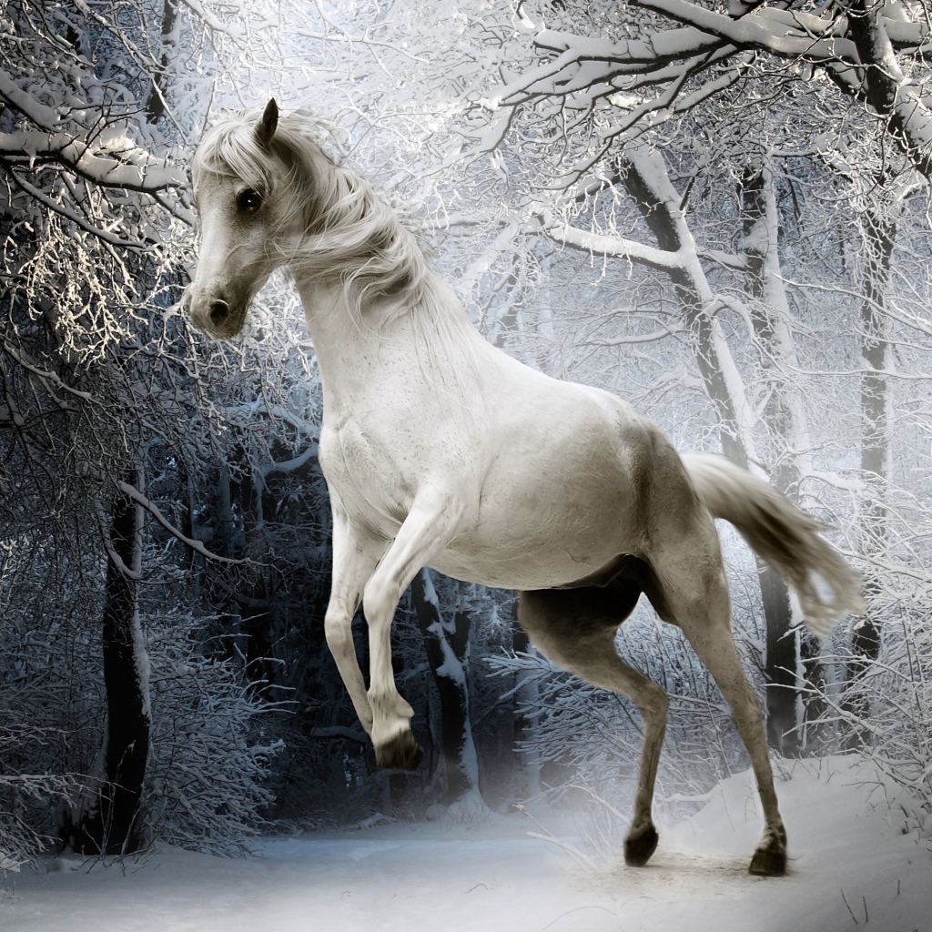 Белая лошадь в покрытом снегом лесу