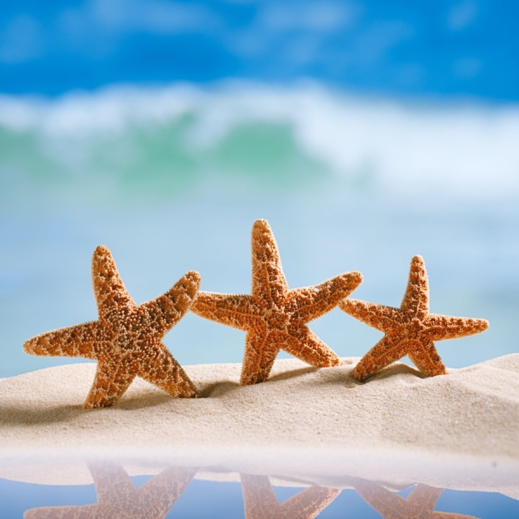 Три оранжевых морских звезды на желтом песке на море