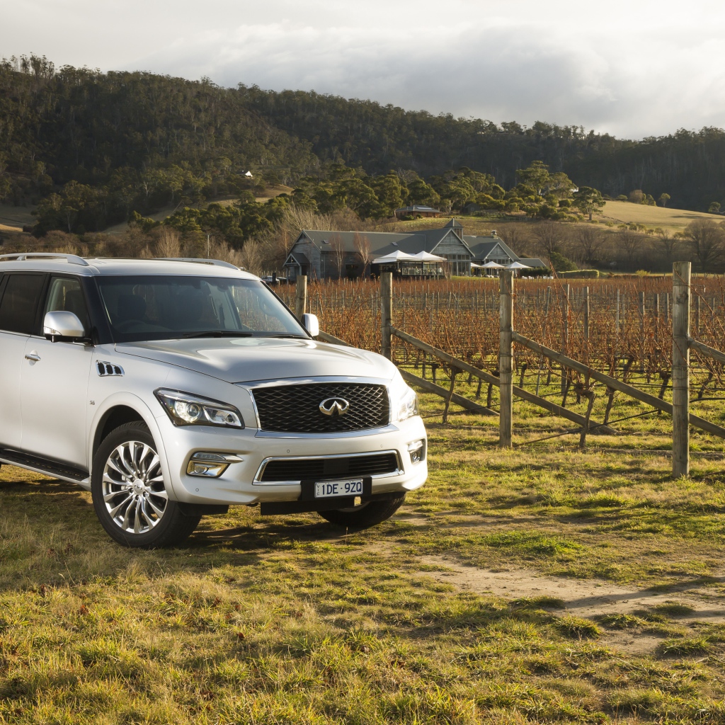 Серебристый автомобиль Infiniti QX80 на ферме
