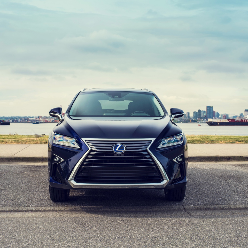 Черный автомобиль Lexus RX 450hL, 2018 года