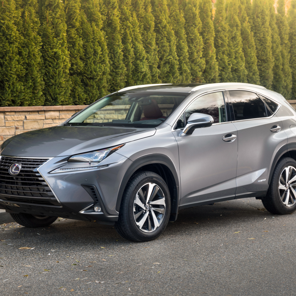 Японский серебристый внедорожник Lexus NX 300h, 2018 года