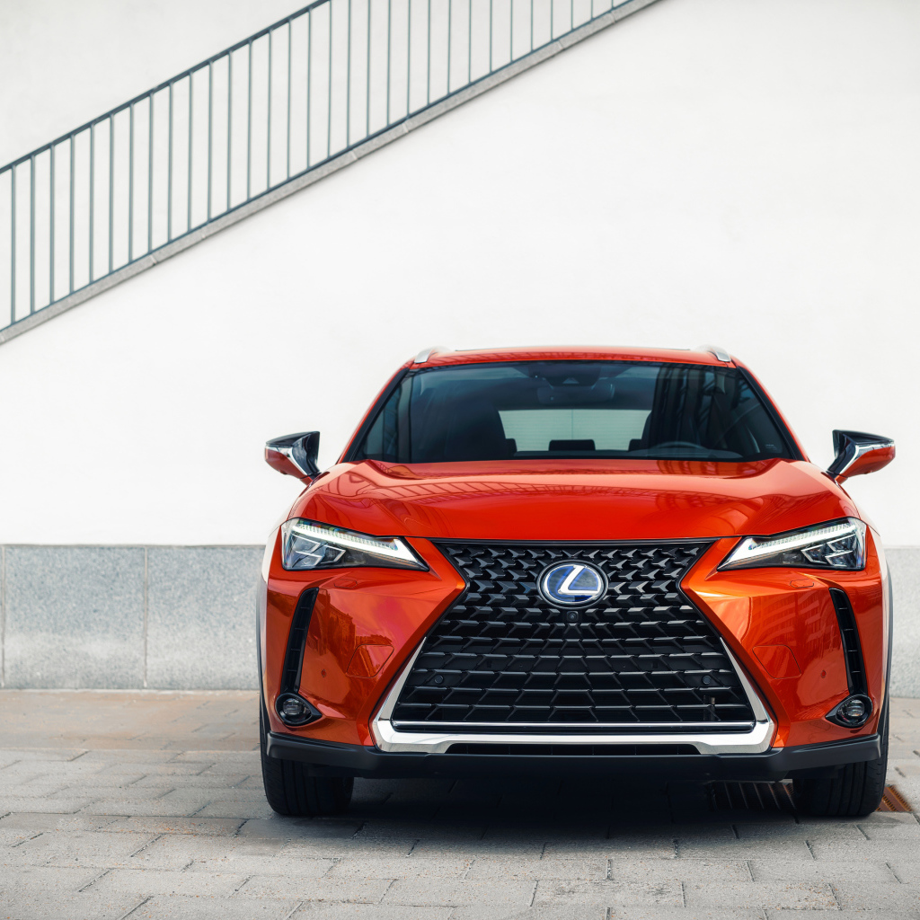 Красный автомобиль Lexus UX 250h, 2019 года вид спереди