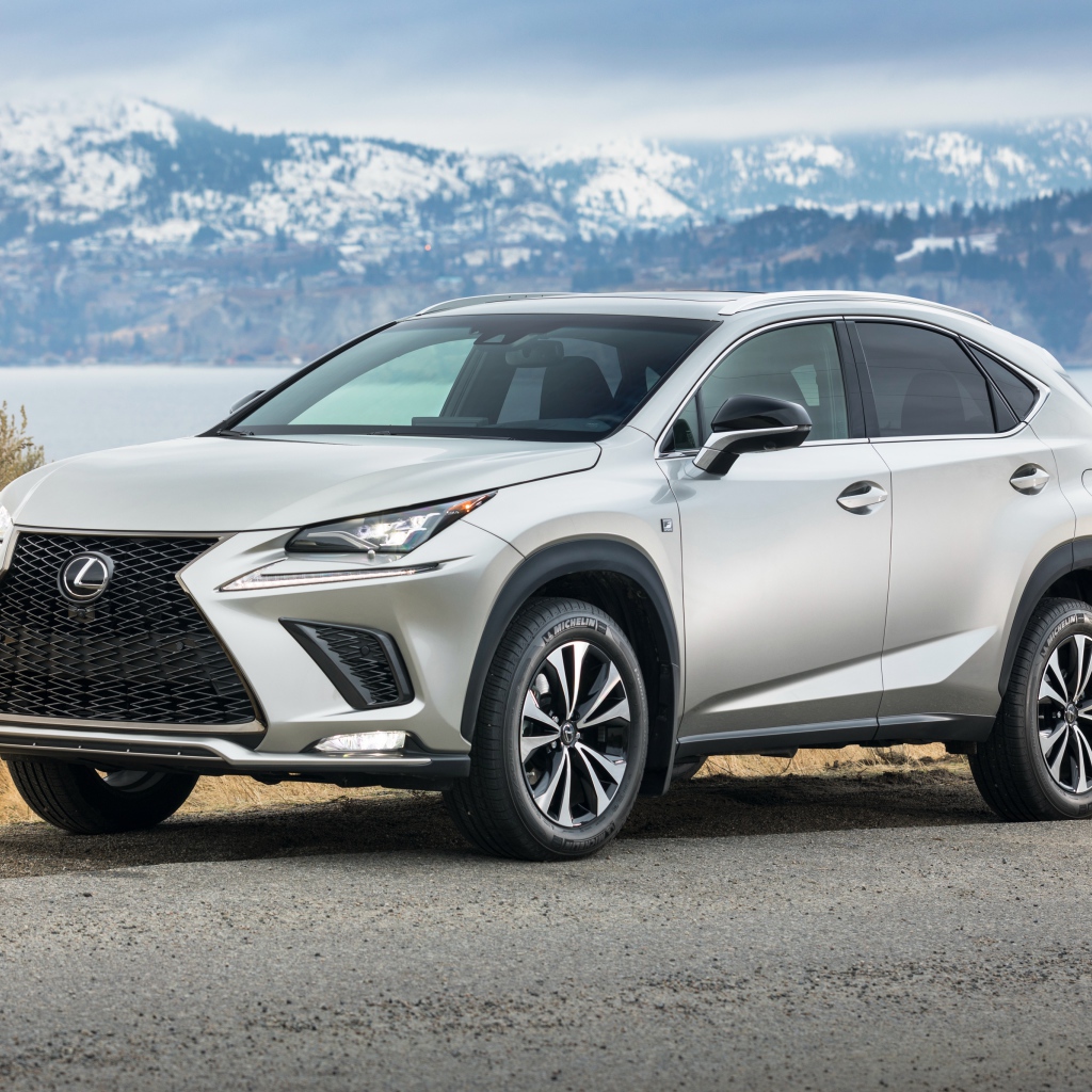 Серебристый автомобиль Lexus  NX 300 F SPORT, 2018