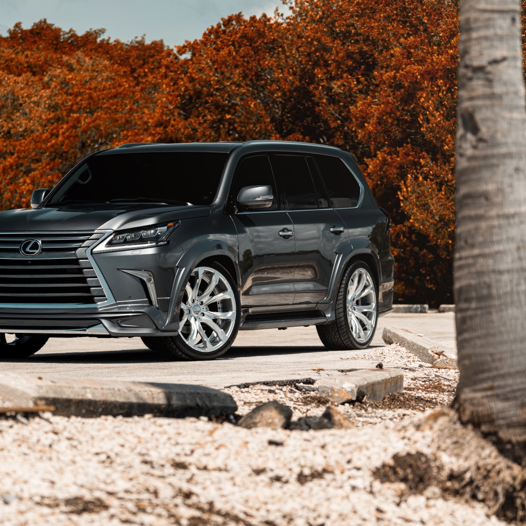Стильный внедорожник Lexus Lx  2018