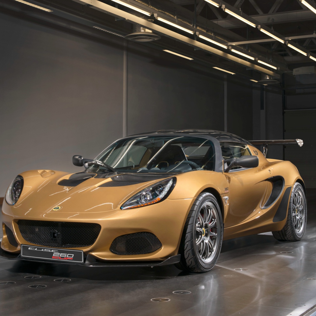 Sports car Lotus Elise in the garage