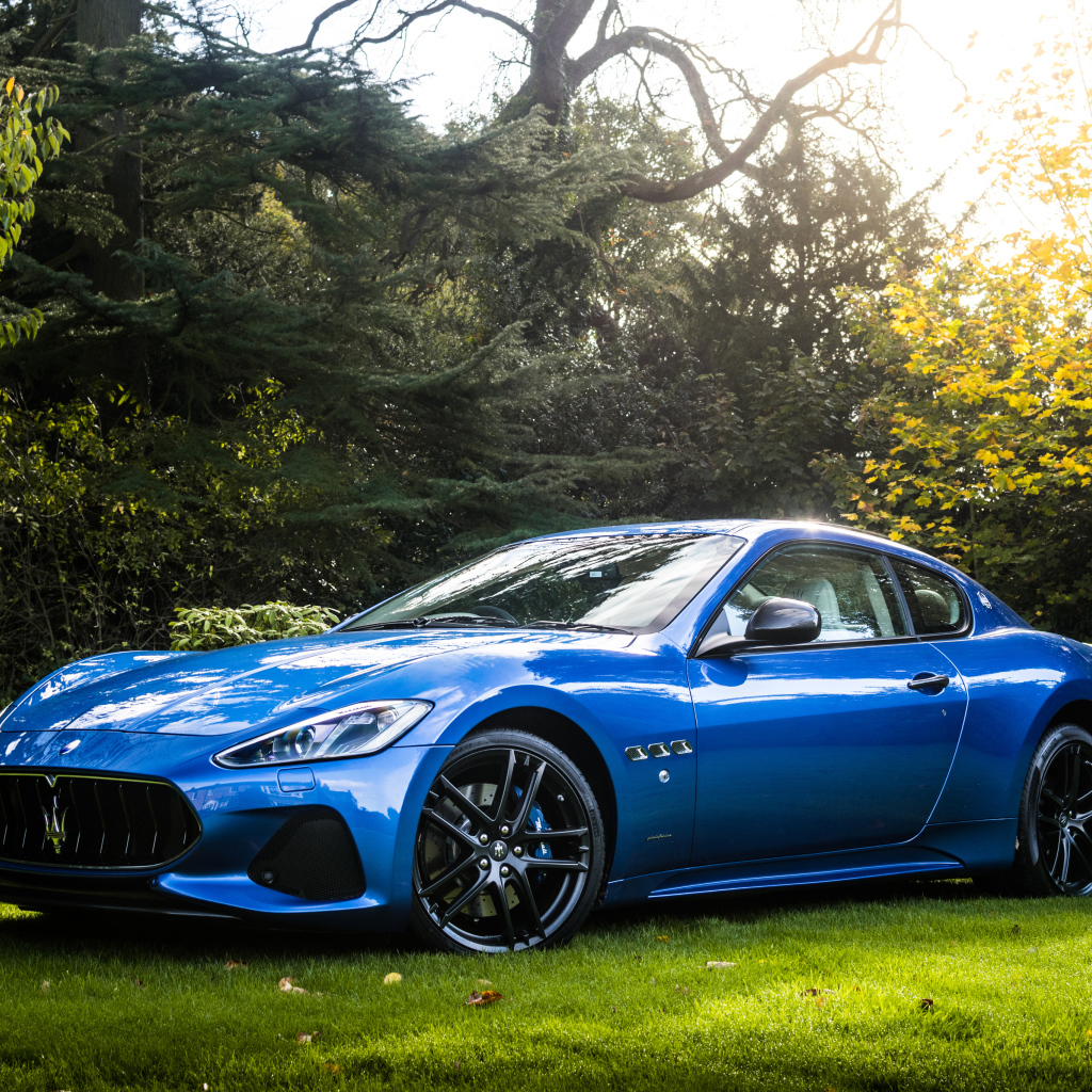 Синий автомобиль Maserati GranTurismo на фоне деревьев 