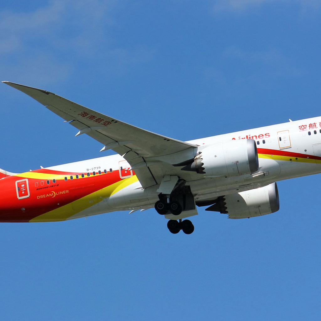 Пассажирский самолет Boeing 787-8 взлетает