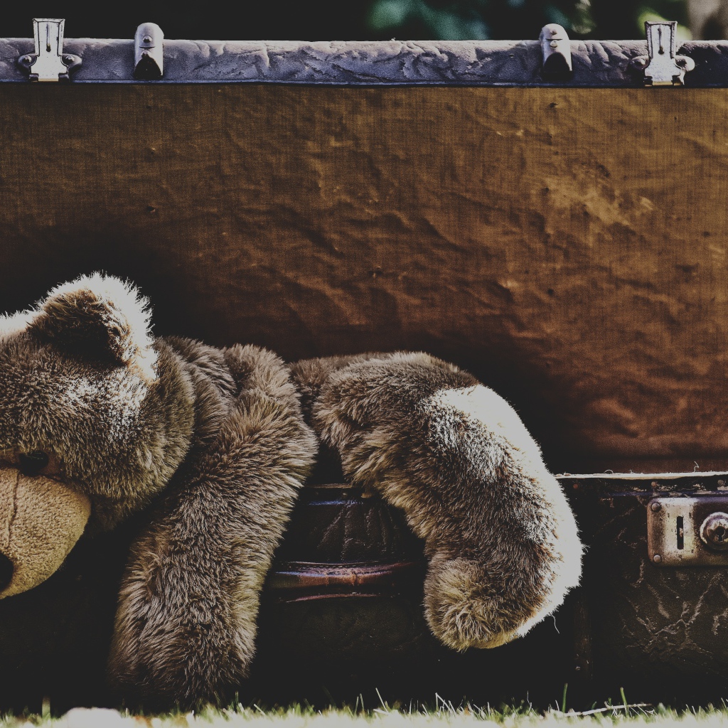 Большой плюшевый медведь в старом чемодане