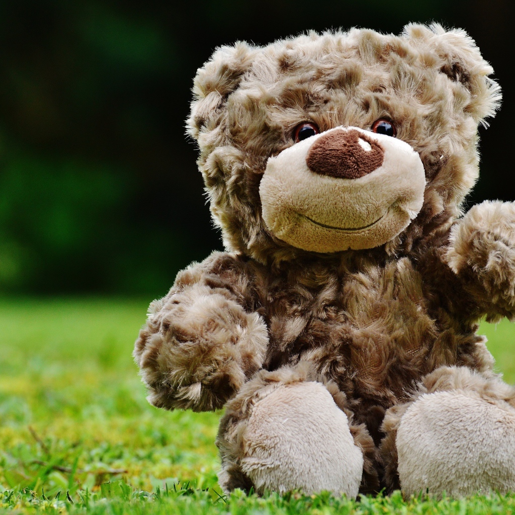 Милый плюшевый мишка сидит на зеленой траве