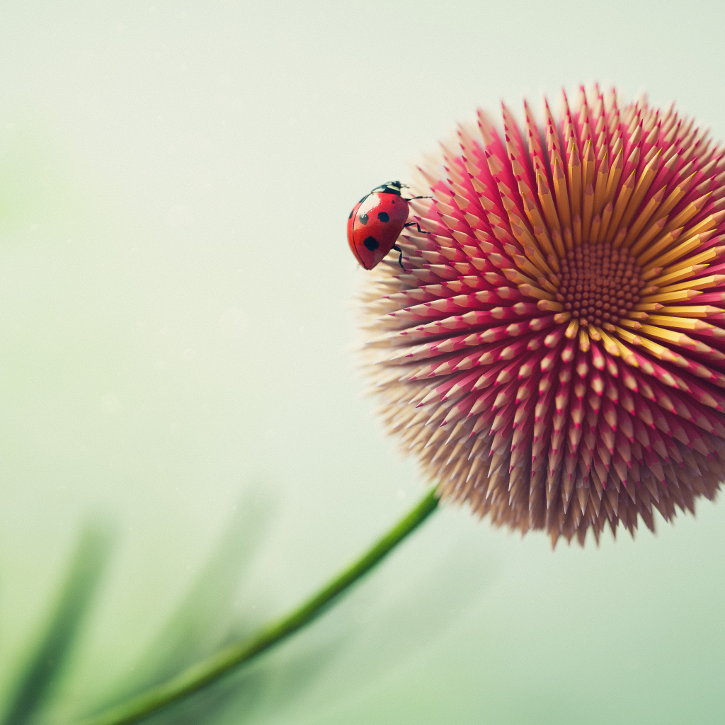 Цветок из карандашей с божьей коровкой 