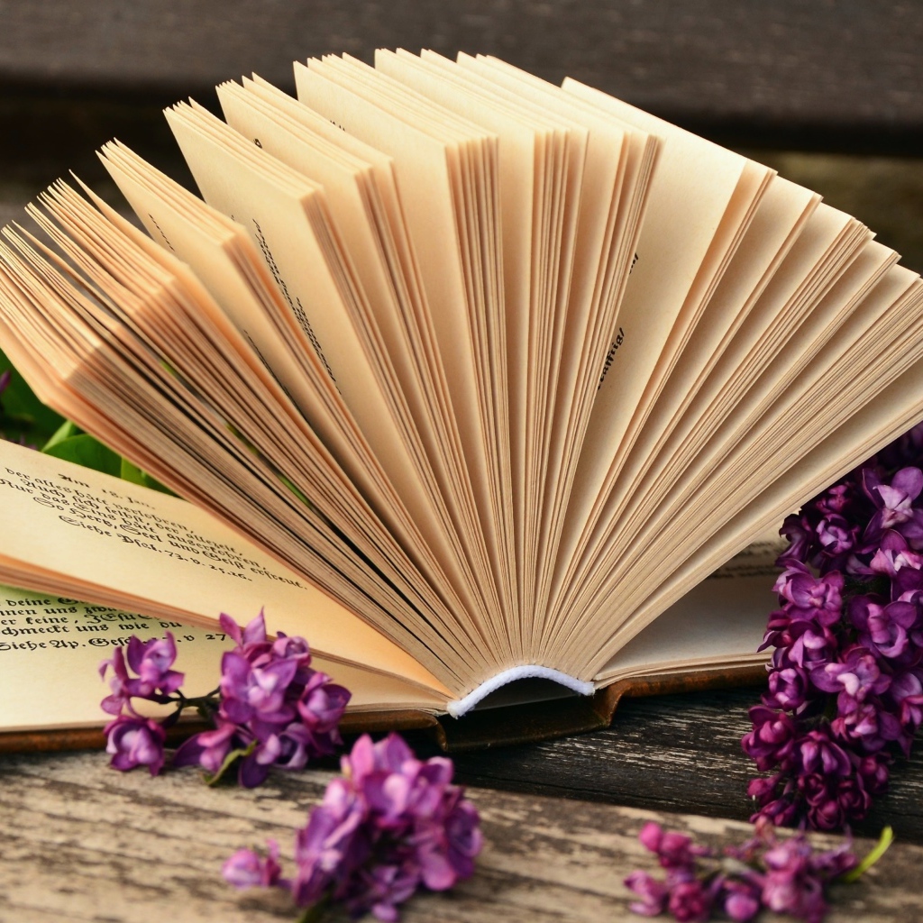 Открытая книга с сиреневыми цветами сирени