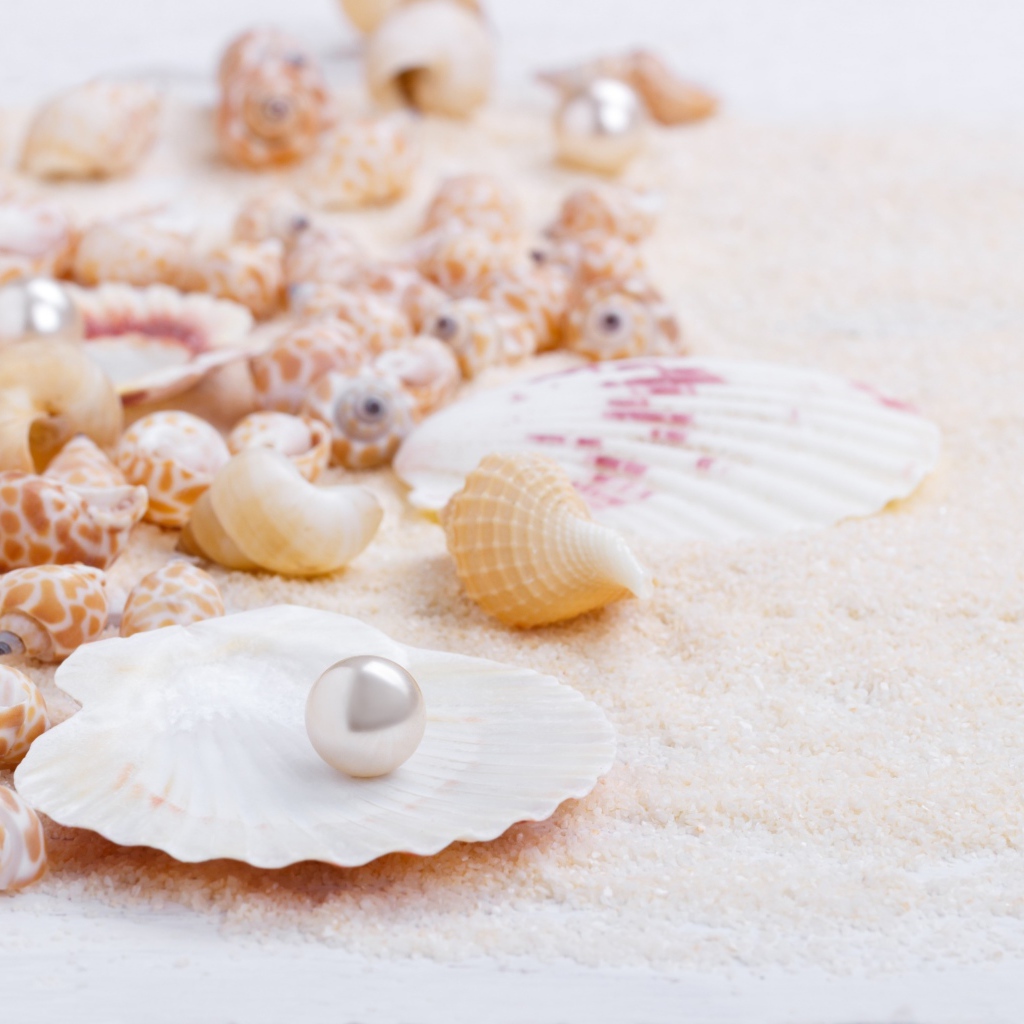 Ракушки с жемчужинами на белом песке 
