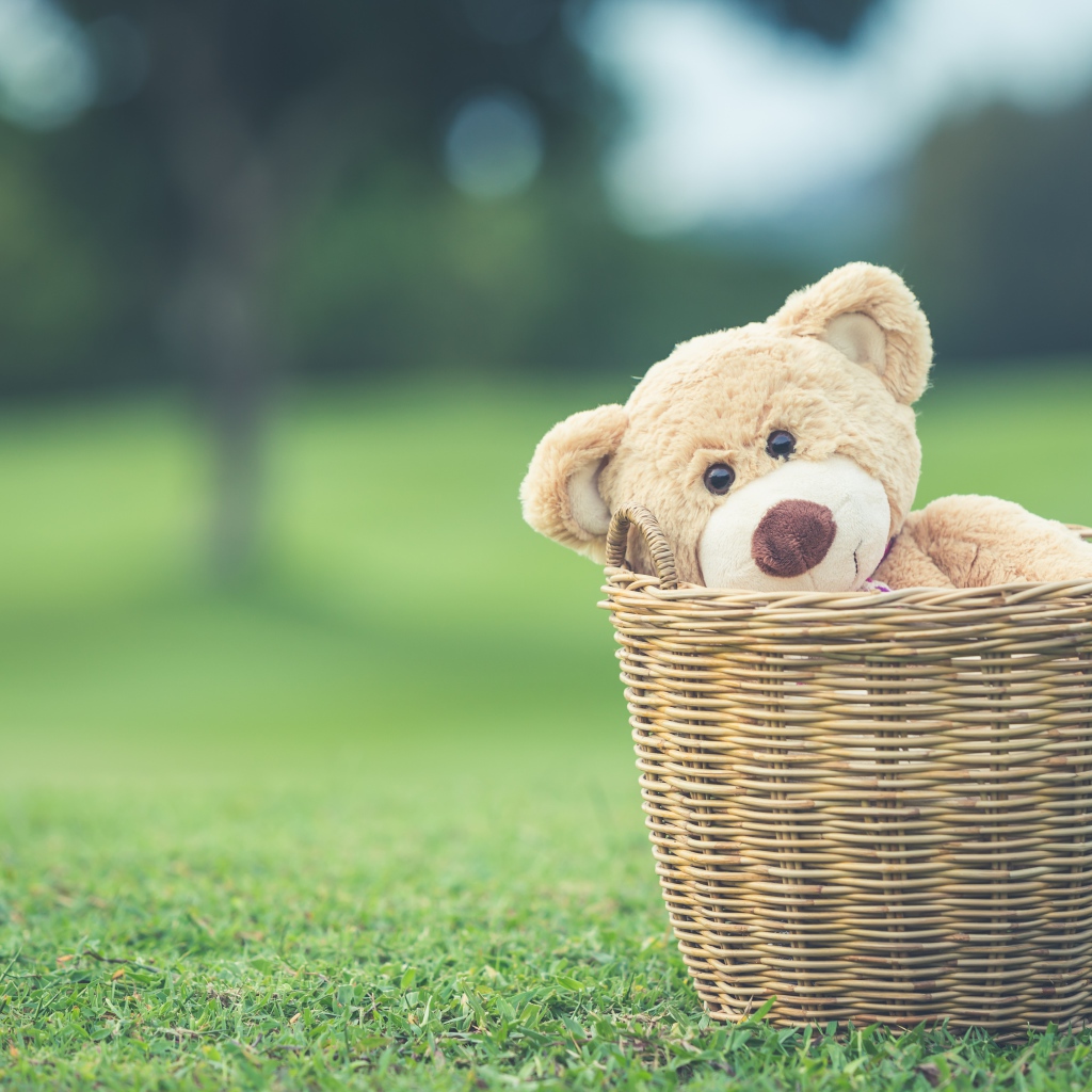 Плюшевый медведь в корзине на зеленой траве